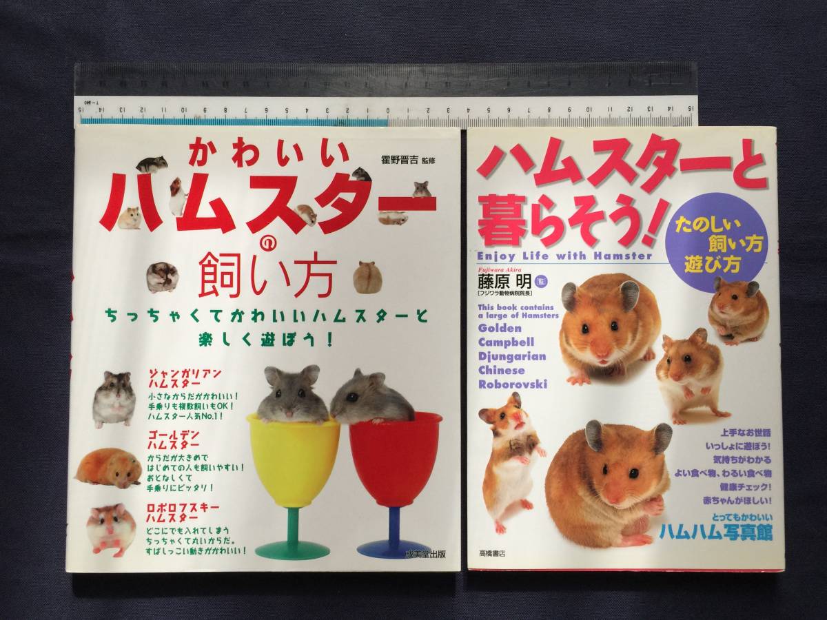 【クリックポスト】『ハムスターと暮らそう！楽しい飼い方・遊び方』『かわいいハムスターの飼い方』【2冊セット】成美堂出版　高橋書店_画像1