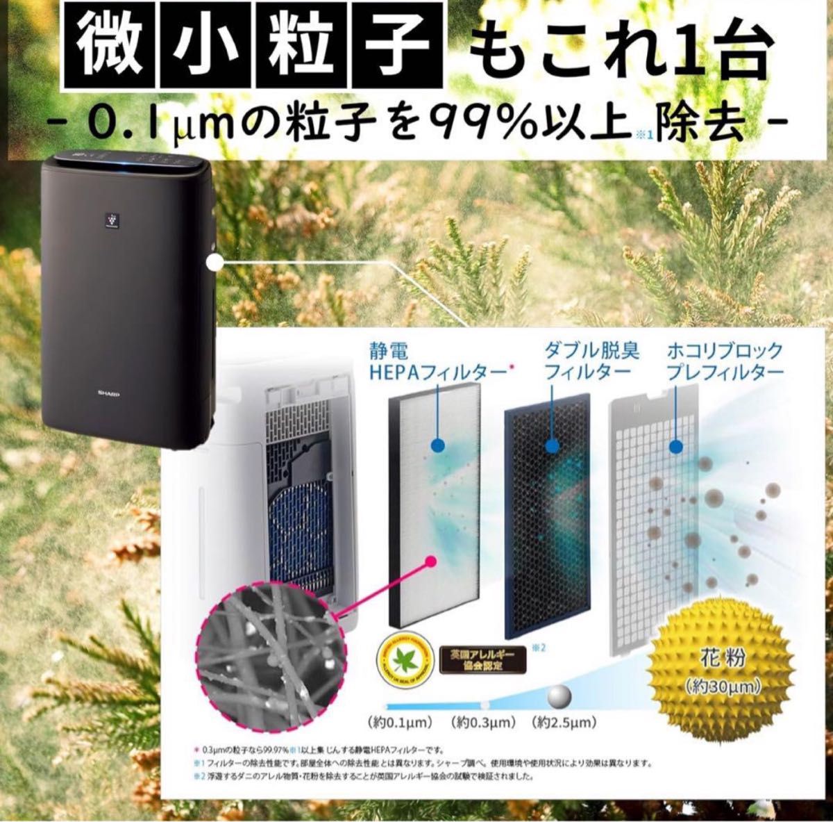 SHARP 空気洗浄加湿器 KI-RS50-H GRAY|Yahoo!フリマ(旧PayPay SHARP 空気洗浄加湿器 KI-RS50-H GRAY|Yahoo!フリマ(旧PayPay