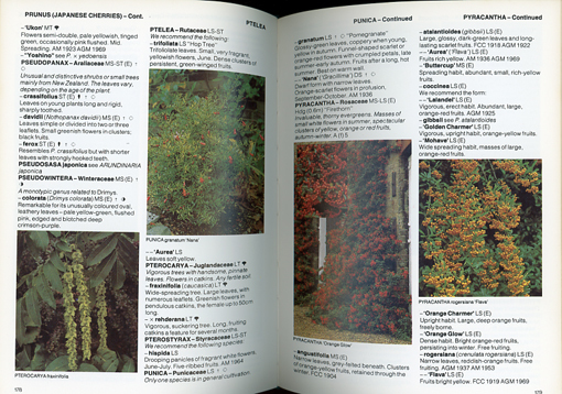 #The Hillier Colour DICTIONARY of Trees & Shrubs inspection : tree / Hanaki 