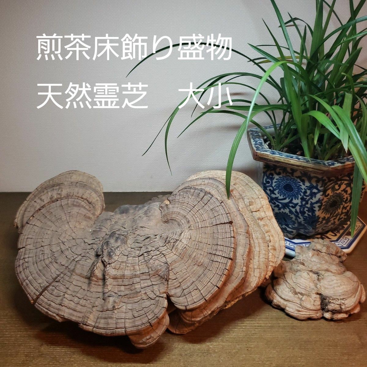 国内外の人気が集結 煎茶道具 天然霊芝(猿の腰掛け)大小2点｜Yahoo 盛物 煎茶床飾り 木工、竹工芸