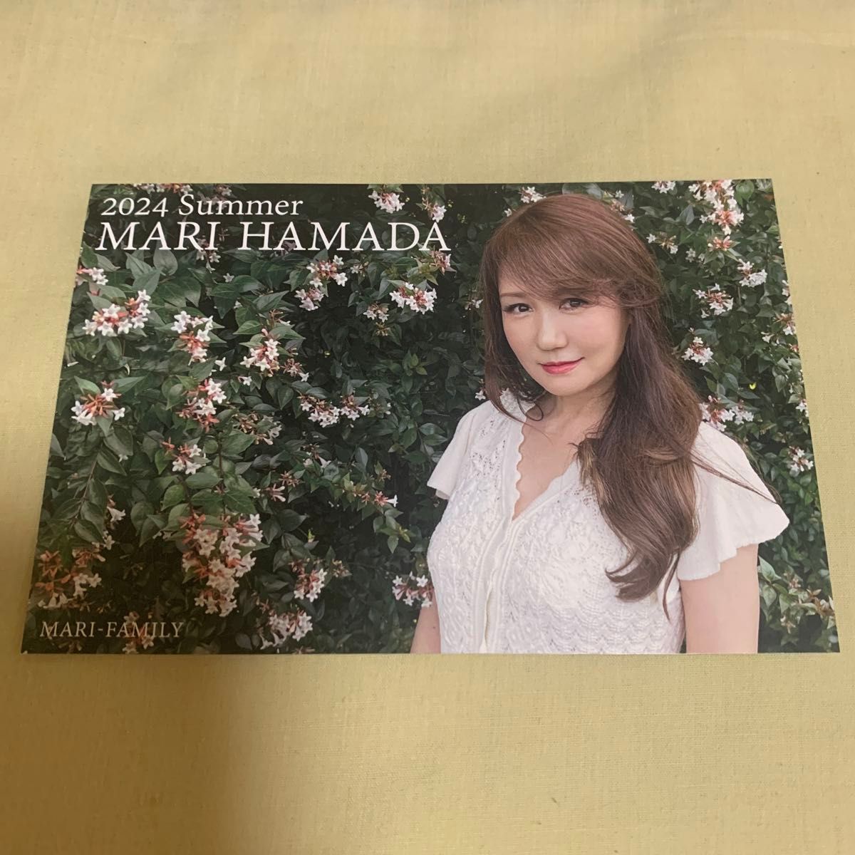 浜田麻里 ファンクラブ限定 サマーカード 2020~2024 5枚セット 浜田麻里 ファンクラブ限定 サマーカード 2020~2024 5枚セット
