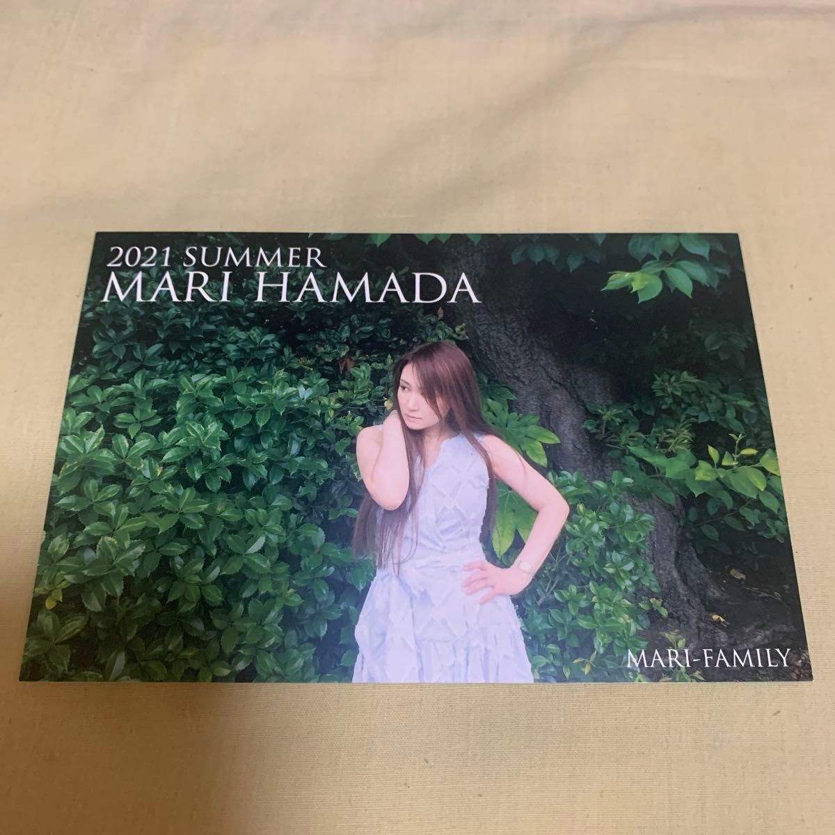 浜田麻里 ファンクラブ限定 サマーカード 2020~2024 5枚セット 浜田麻里 ファンクラブ限定 サマーカード 2020~2024 5枚セット