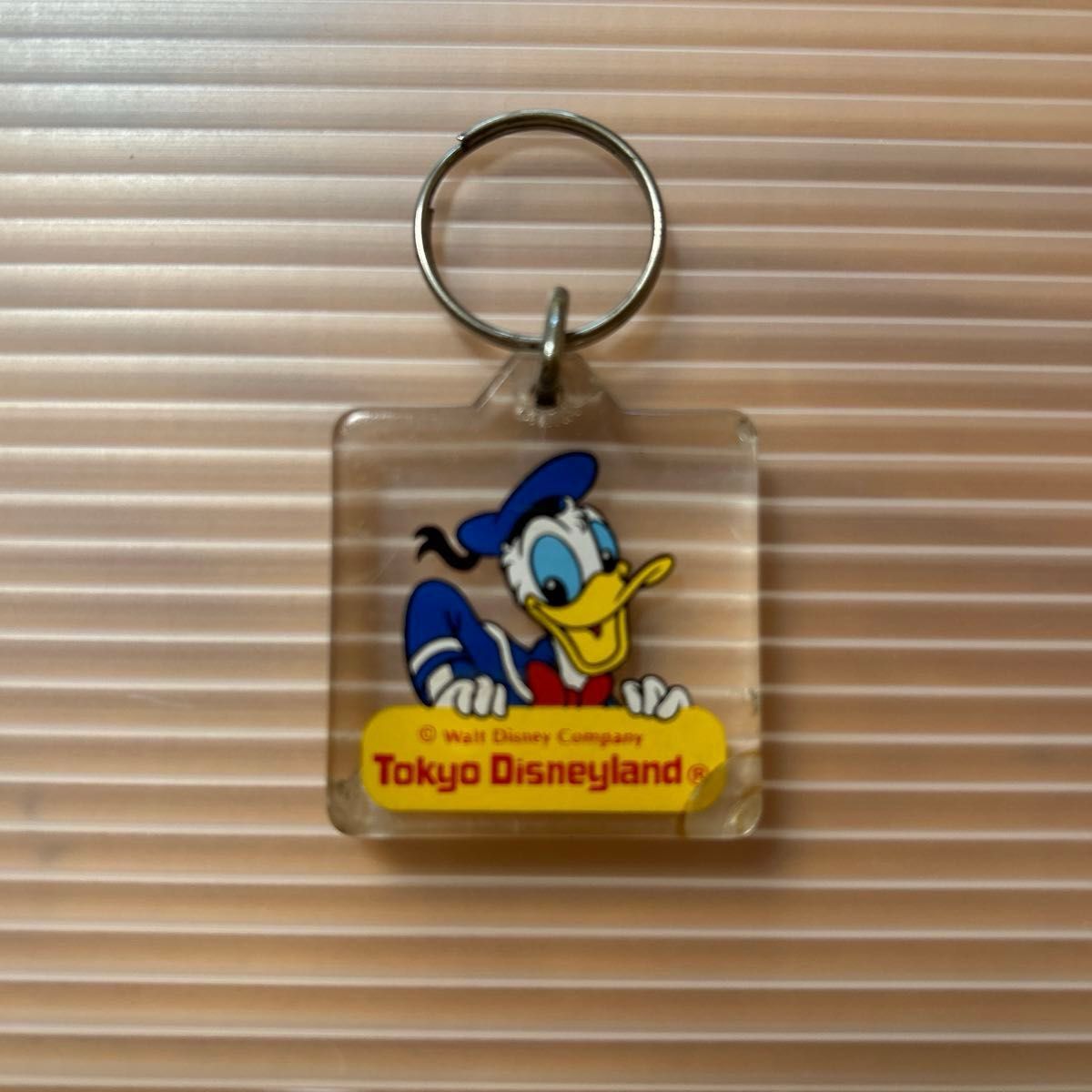 昭和レトロ 東京ディズニーランド アクリルキーホルダー 昭和レトロ 東京ディズニーランド アクリルキーホルダー