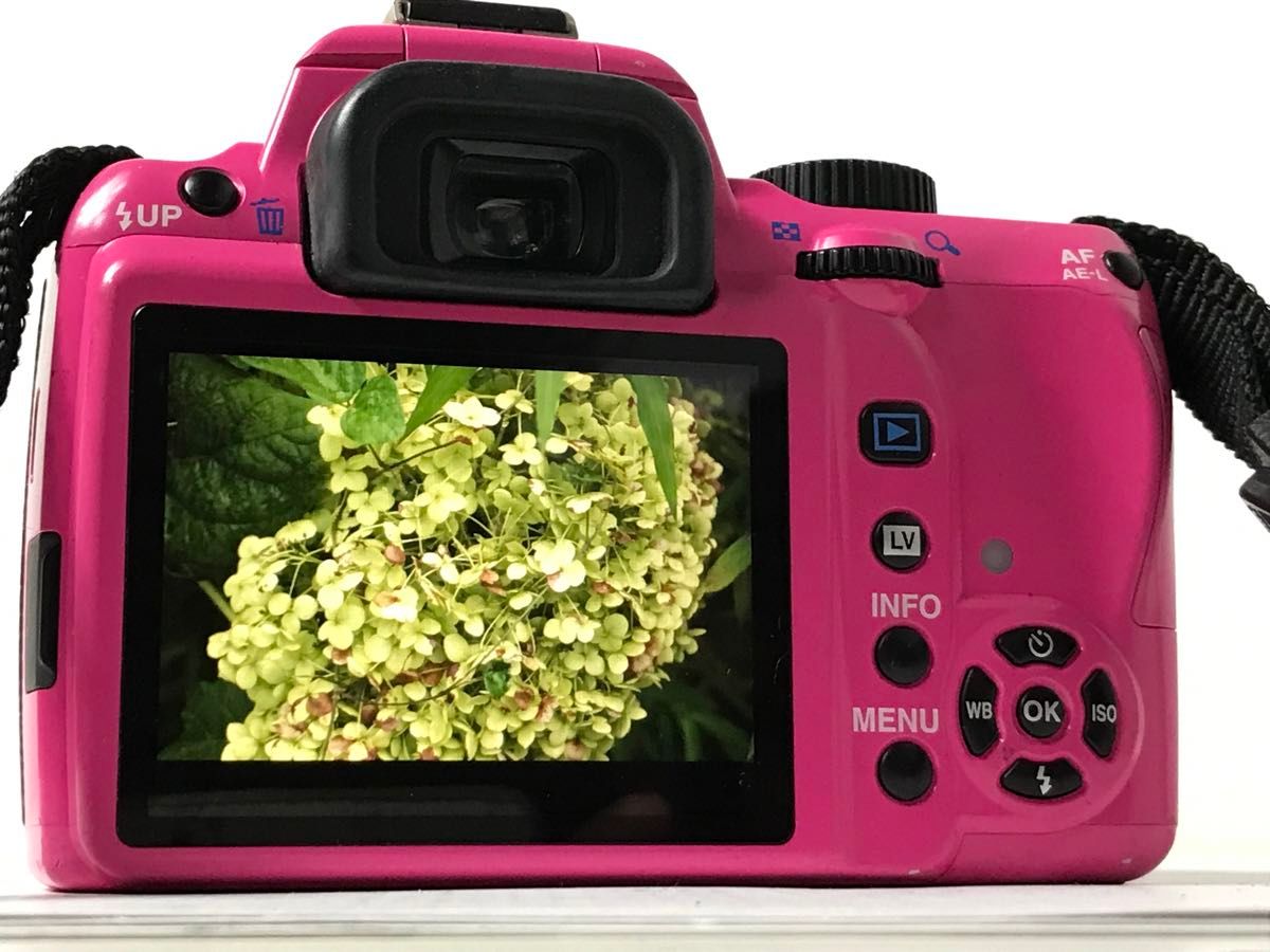 PENTAX K-r ペンタックス デジタル一眼レフカメラ デジタル PENTAX K-r ペンタックス デジタル一眼レフカメラ デジタル
