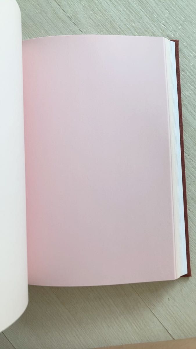 何も描かれてない紙の本です。好きに創作等してください。