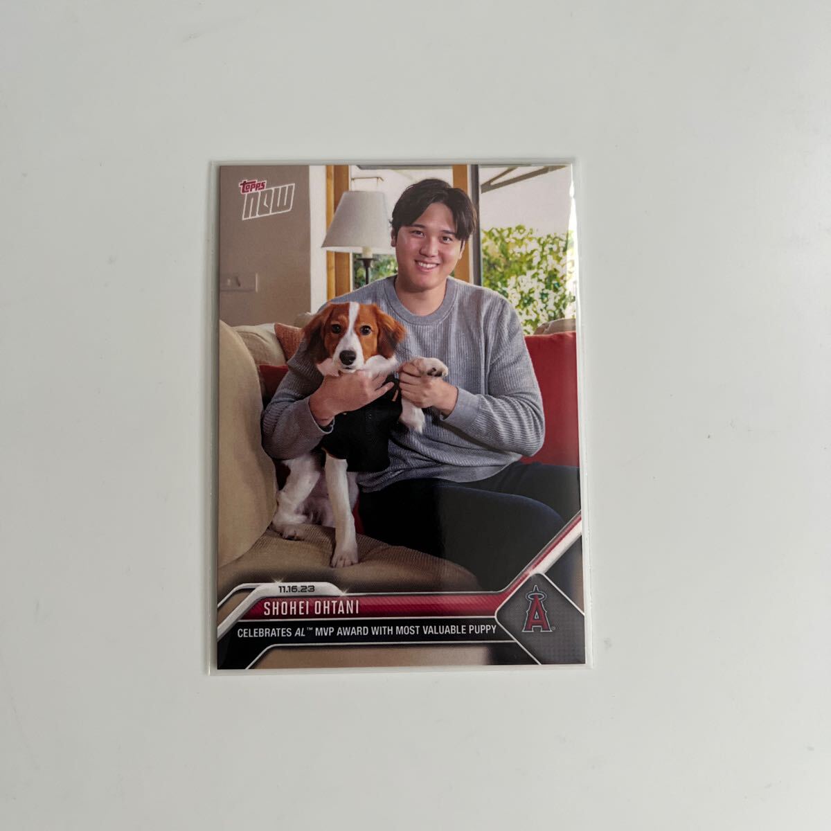 超人気 永久保存■限定 デコピン Topps now Shohei Ohtani 大谷翔平 MVP記念カード DECOY Los Angeles Dodgers ドジャース 始球式 匿名配送