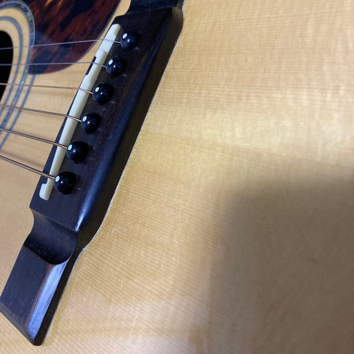 Washburnウォッシュバーン アコースティックギター10DL トップ単 Washburnウォッシュバーン アコースティックギター10DL トップ単