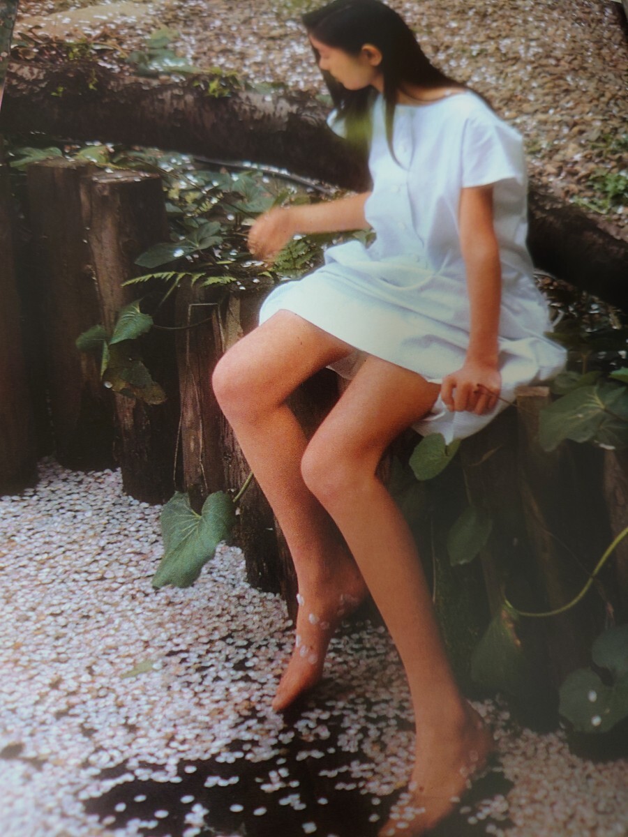 手塚理美 サイン入り写真集 四色の花火 初版 手塚理美 サイン入り写真集 四色の花火 初版