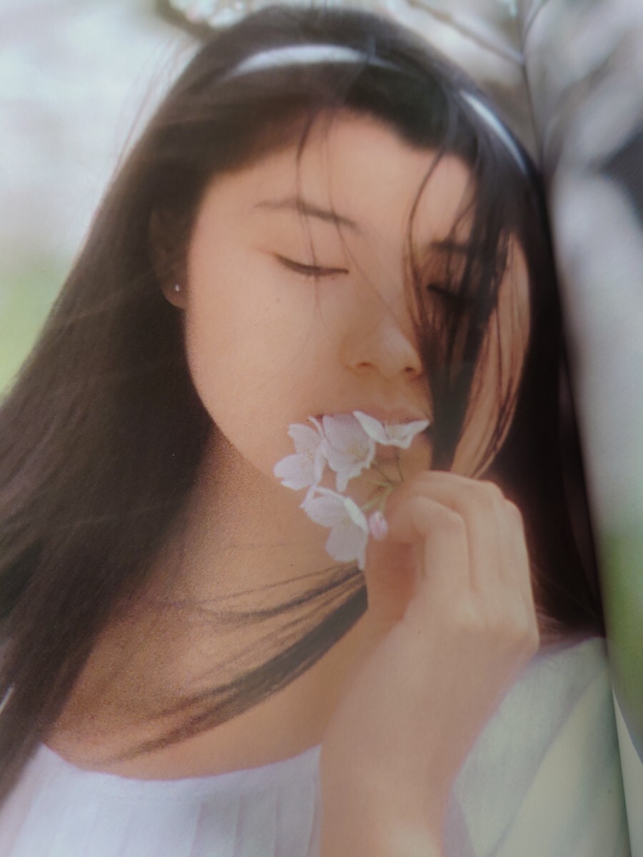 手塚理美 サイン入り写真集 四色の花火 初版 た行 手塚理美 サイン入り写真集 四色の花火 初版 た行