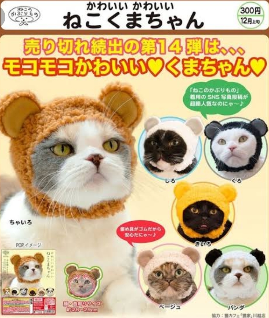 Paypayフリマ ねこのかぶりもの かわいいねこくまちゃん 全6種類 新品 帽子 小型犬 ブライス 人形 ぬいぐるみ カスタムドール 洋服 衣裳 コスチューム Paypayフリマ ねこのかぶりもの かわいいねこくまちゃん 全6種類 新品 帽子 小型犬 ブライス 人形 ぬいぐるみ カスタムドール 洋服 衣裳 コスチューム