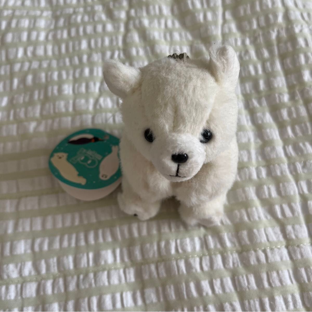 Softbank ホワイトベア ストラップ ホワイトベアぬいぐるみ ストラップ付き (Softbank ホワイト