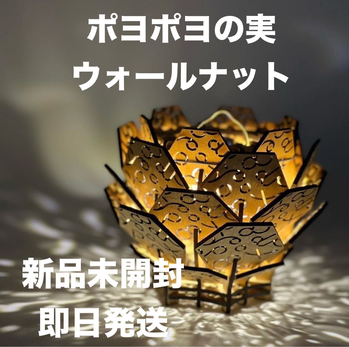 TENt o TEN ポヨポヨの実 悪魔の実 ウォールナット what we want TENt o TEN ポヨポヨの実 悪魔の実 ウォールナット what we want