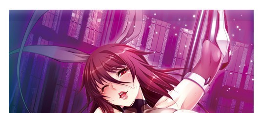 対魔忍 B2タペストリー 水城不知火 対魔忍ユキカゼ 対魔忍RPG 対魔忍アサギ リリスストア LILITH 正規品