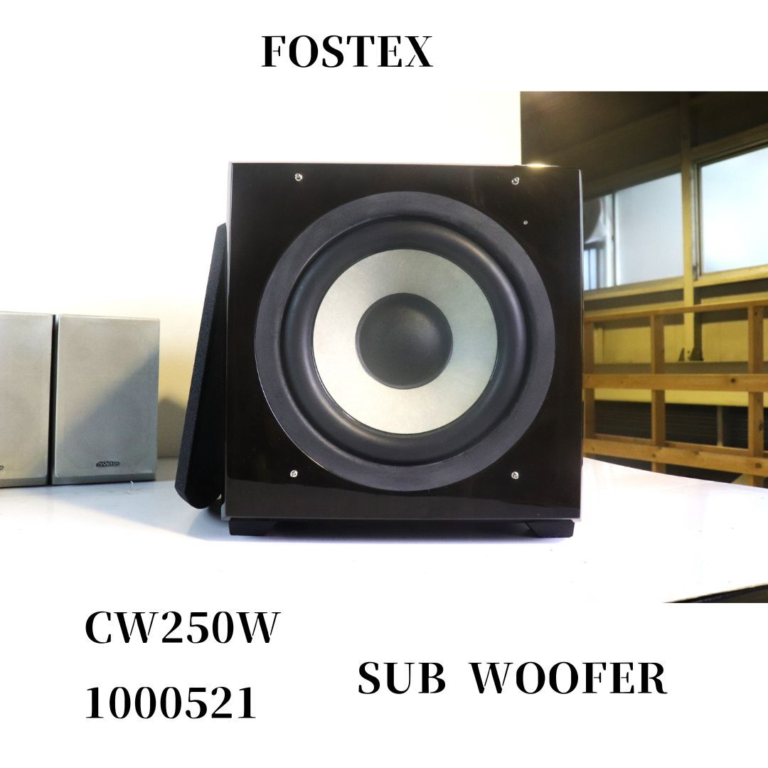 FOSTEX CW250A 1000521 SUB WOOFER サブウーファー_BFO_B0718 FOSTEX CW250A 1000521 SUB WOOFER サブウーファー_BFO_B0718
