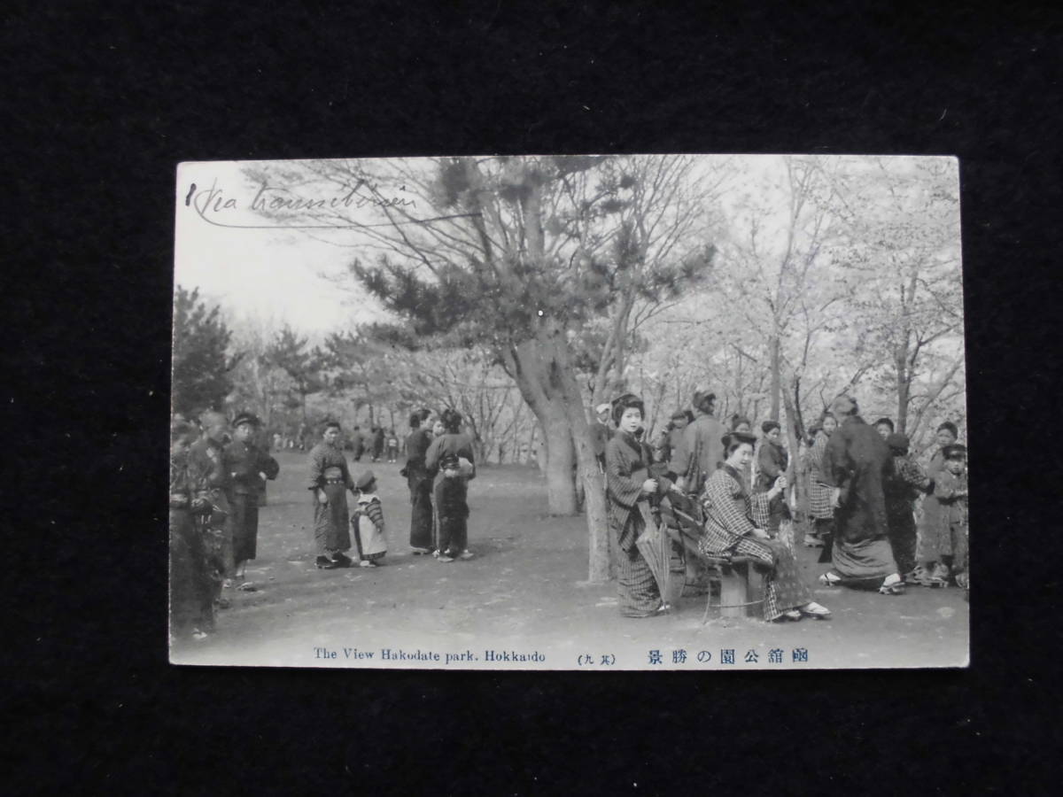 函館絵葉書　エンタイヤ★フランス宛　1911年　絵「函館公園の勝景」人々の賑わい　単色　北海道_画像2