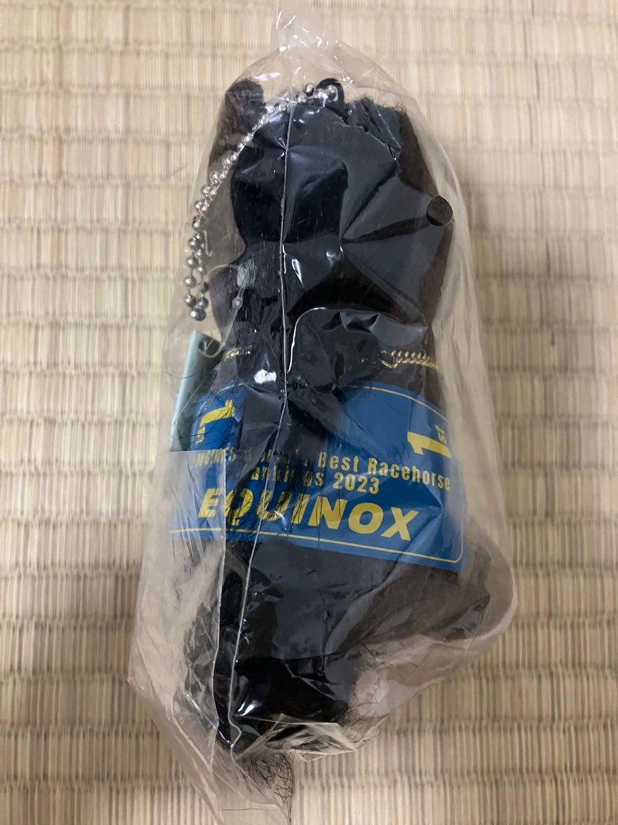 中京競馬場 Welcome チャンス JRAアニバーサリー(特別ゼッケン 中京競馬場 Welcome チャンス JRAアニバーサリー(特別ゼッケン