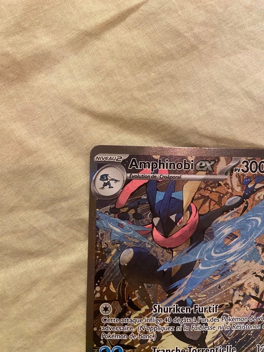 ポケモンカード 海外限定 ゲッコウガex プロモ SAR 英語 ポケカ ポケモンカード 海外限定 ゲッコウガex プロモ SAR 英語 ポケカ