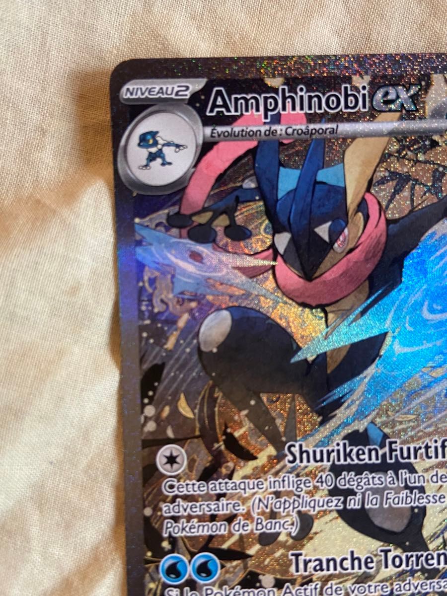 ポケモンカード 海外限定 ゲッコウガex プロモ SAR 英語 ポケカ ポケモンカード 海外限定 ゲッコウガex プロモ SAR 英語 ポケカ