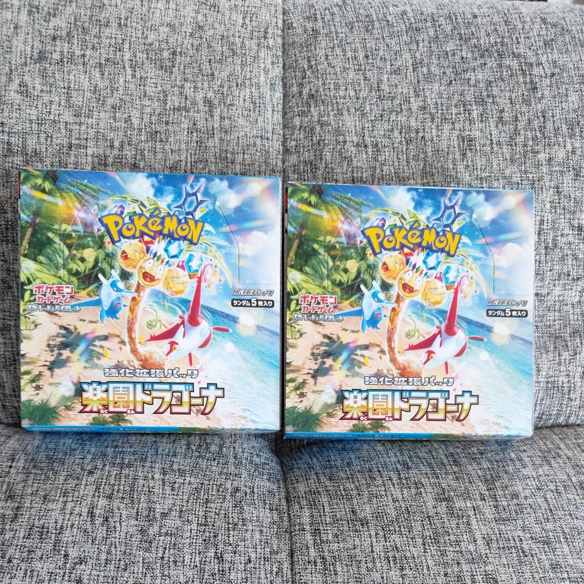 楽園ドラゴーナ 2BOX シュリンク無し 新品未開封品 ポケモン