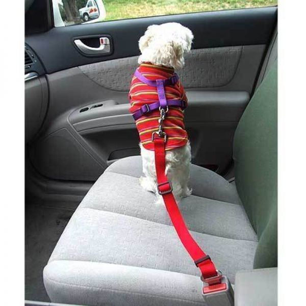 ペット用シートベルト 愛犬を守る 安全ベルト 簡単装着 差込口に繋げるだけ 長さ調節可能 車専用 ペット用 （レッド）_画像4