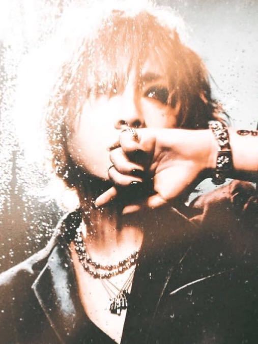 SALE/81%OFF】 the GazettE パンフレット arpeggioproperties.co.uk