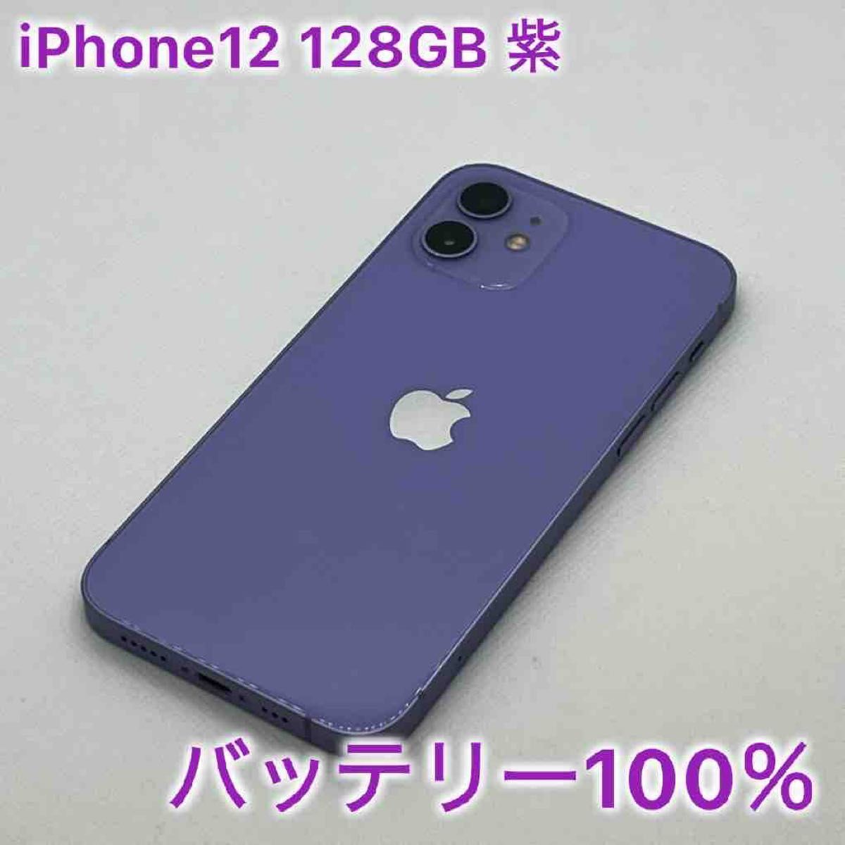 iPhone12 128GB ミントグリーン SIMフリー バッテリー正規店交換 iPhone12 128GB ミントグリーン SIMフリー バッテリー正規店交換