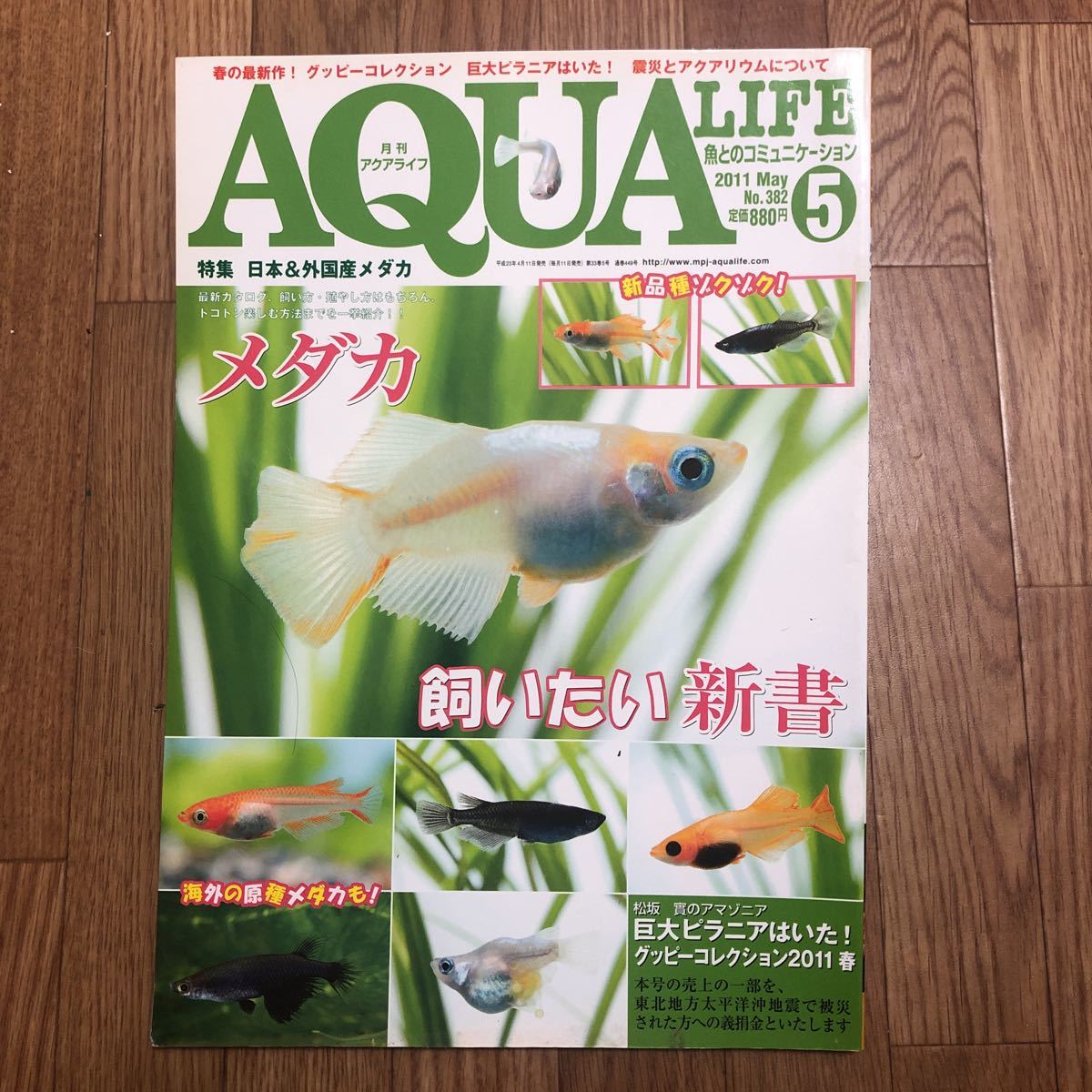 月刊アクアライフ☆AQUA LIFE☆2011年5月号☆メダカ☆グッピー☆ピラニア☆_画像1