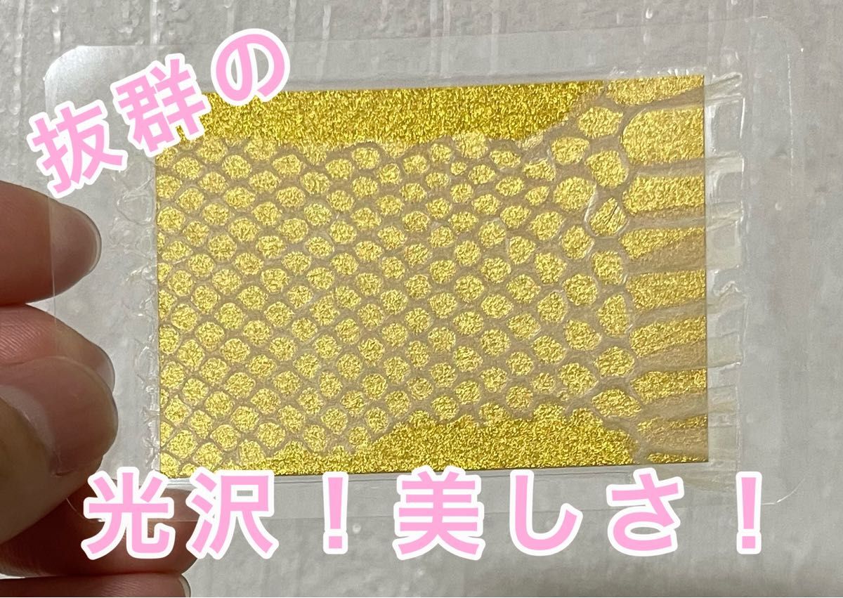 白蛇の抜け殻 お守り 縁起物 巳年 白龍 スピリチュアル 金運 白蛇の抜け殻 お守り 縁起物 巳年 白龍 スピリチュアル 金運