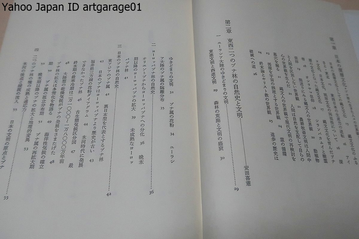  beech obi culture / beech .. representative be . leaf wide leaf .. zone . is . writing. former times from higashi japanese scenery . shape ... beech obi culture ... could * various . point from ..