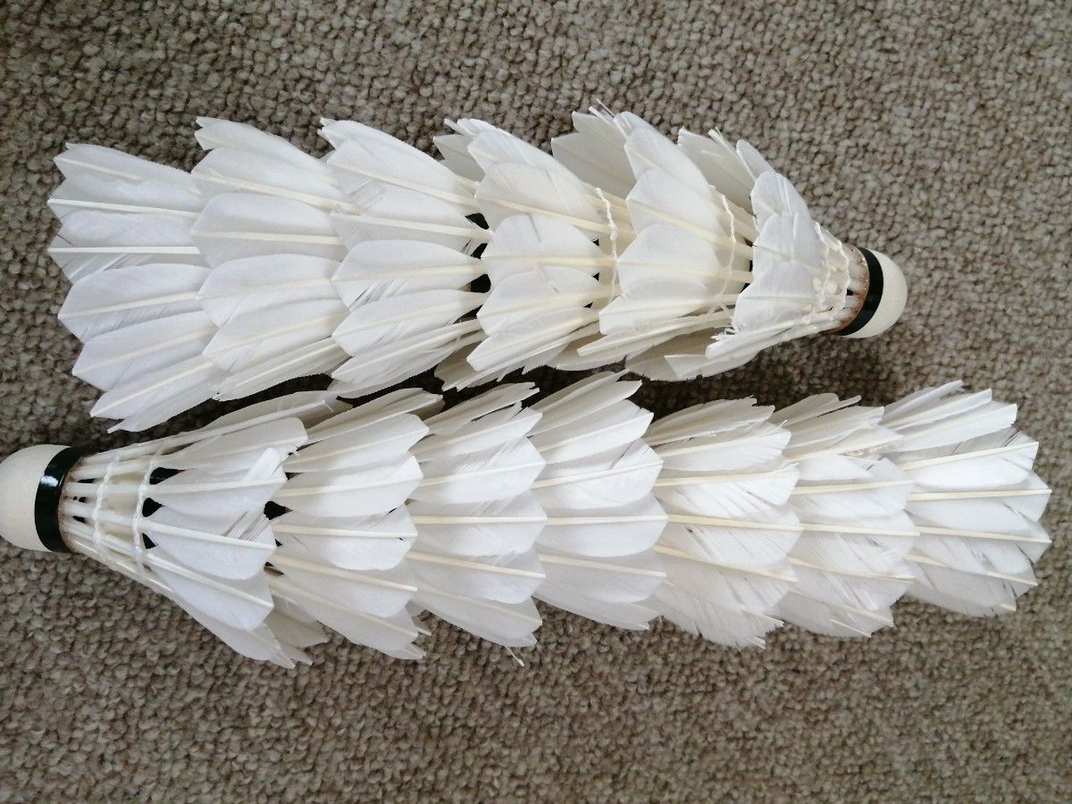 USED】YONEX NEW OFFICIALシャトル 130球|Yahoo!フリマ(旧PayPay USED】YONEX NEW OFFICIALシャトル 130球|Yahoo!フリマ(旧PayPay