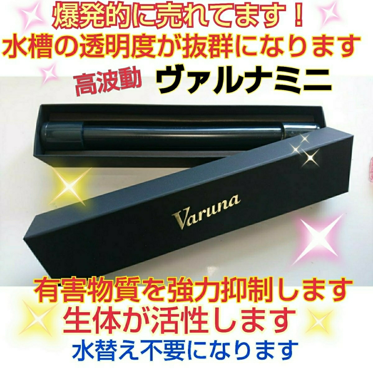 水槽の水が綺麗になります!売れてます!【ヴァルナ23センチ 水槽の水が綺麗になります!売れてます!【ヴァルナ23センチ