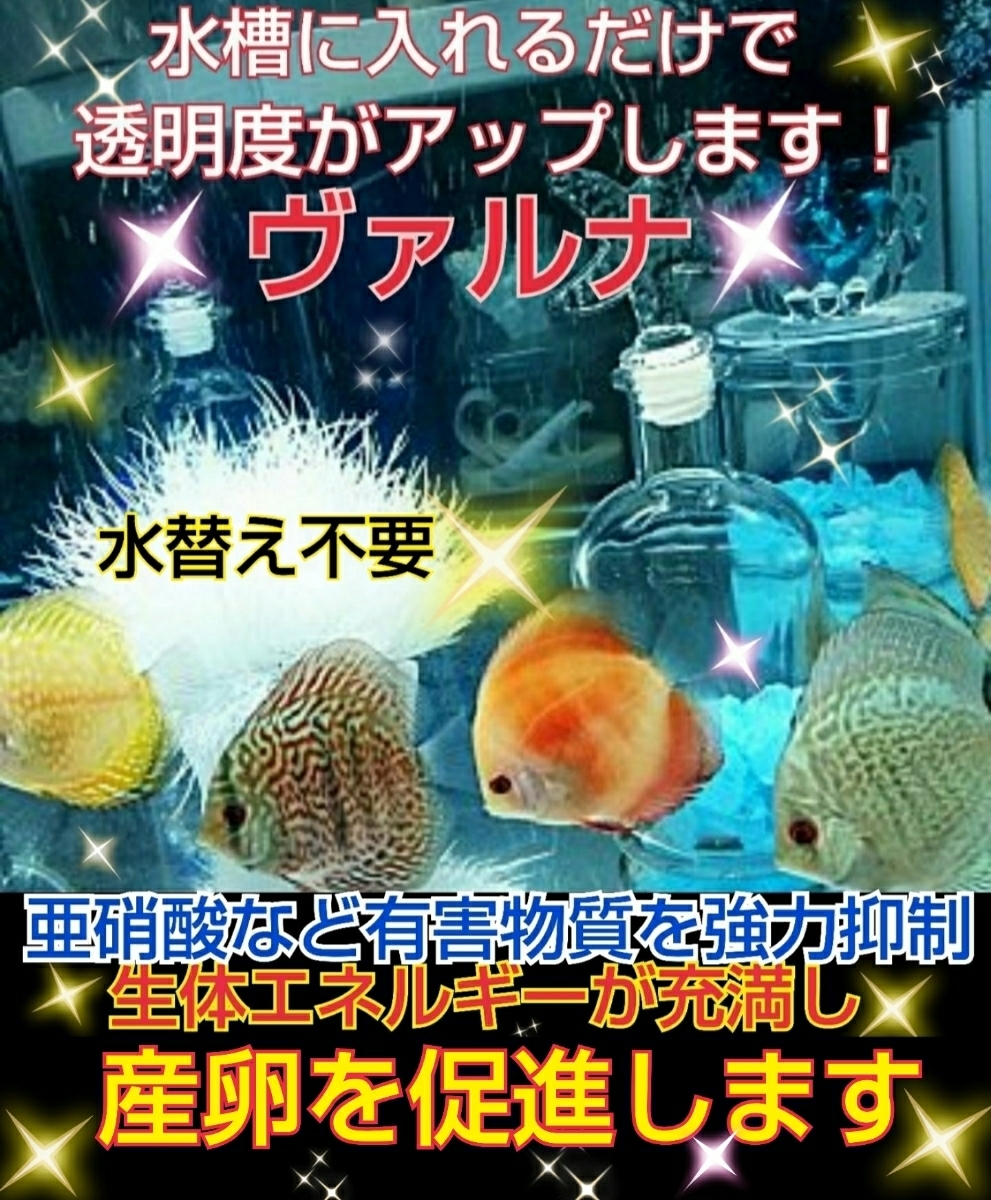 【ヴァルナ☆超特大サイズ池用】池の水が綺麗になる☆錦鯉の品評(píng)會(huì)の方が大絶賛☆透明度がアップし病原菌や感染癥を強(qiáng)力に抑制！水替え不要