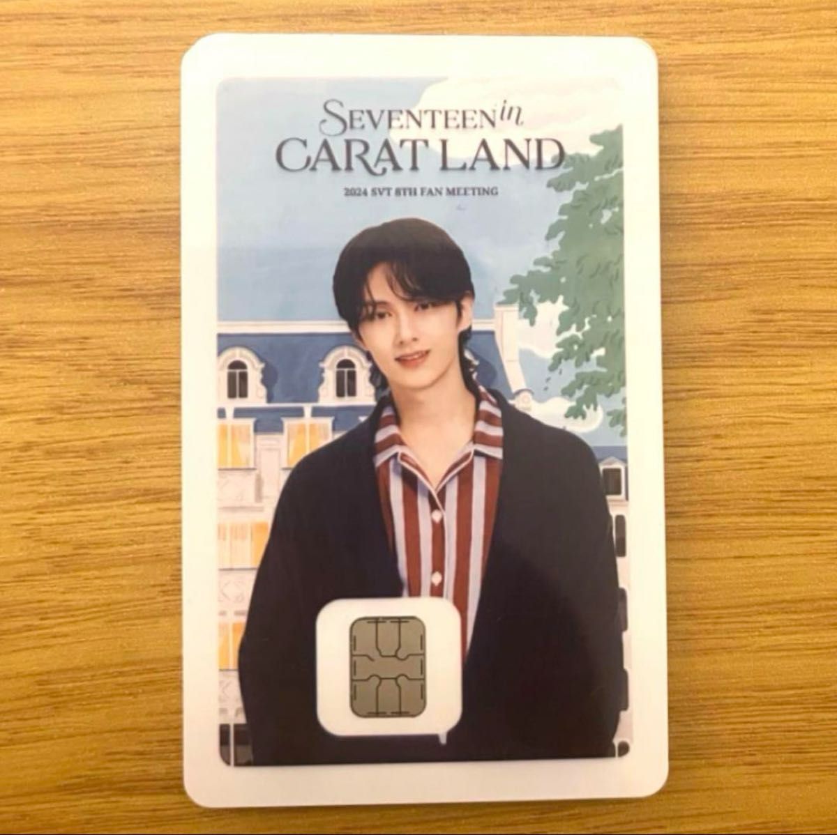 韓国限定 SEVENTEEN セブチ トレカ namaneカード carat land 韓国限定 SEVENTEEN セブチ トレカ namaneカード carat land