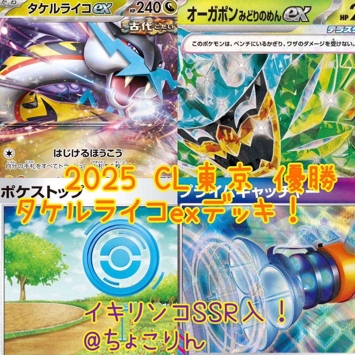 2025 CL東京 優勝構築 タケルライコexデッキ|Yahoo!フリマ(旧 2025 CL東京 優勝構築 タケルライコexデッキ|Yahoo!フリマ(旧