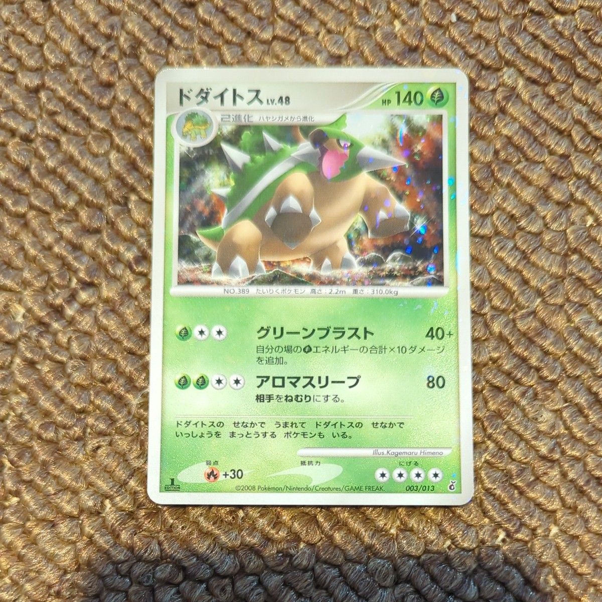 ポケモンカード エントリーパック DPt ドダイトス ゴウカザル ポケモンカード エントリーパック DPt ドダイトス ゴウカザル