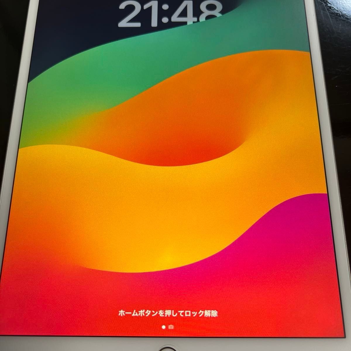 ipad pro 10 5 256GB 本体 Apple pencil 第一世代 未使用 ipad pro 10 5 256GB 本体 Apple pencil 第一世代 未使用