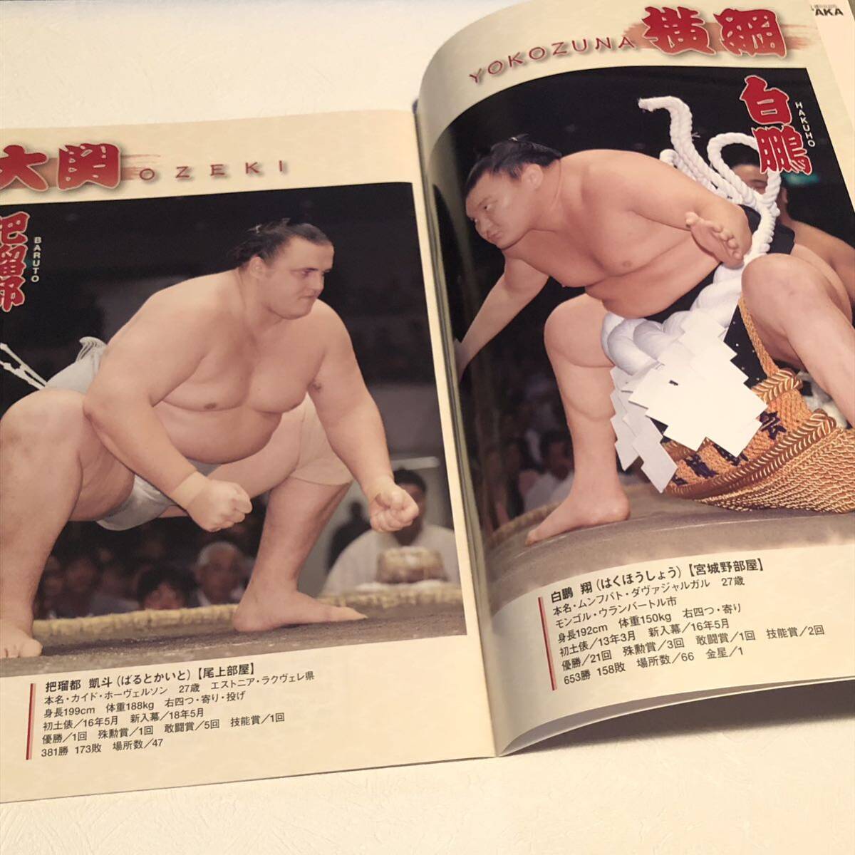  large sumo picture number attaching Heisei era 24 year spring place + number attaching table + three month place pamphlet set / white ./.. capital /... .