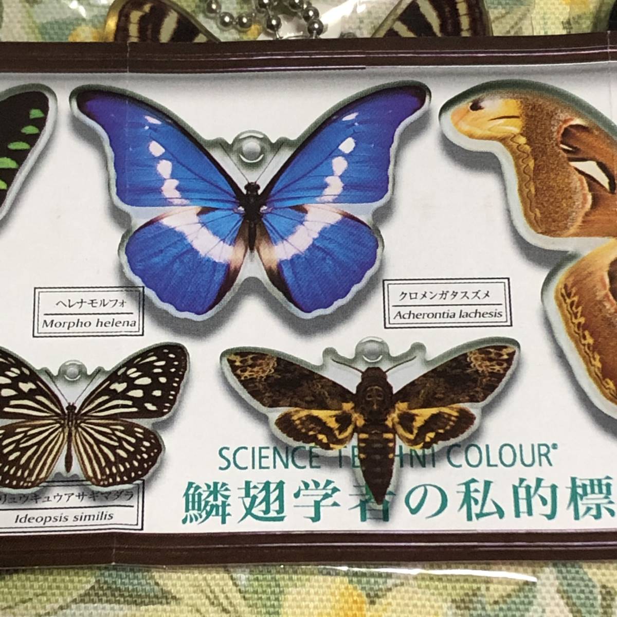 item_image_3