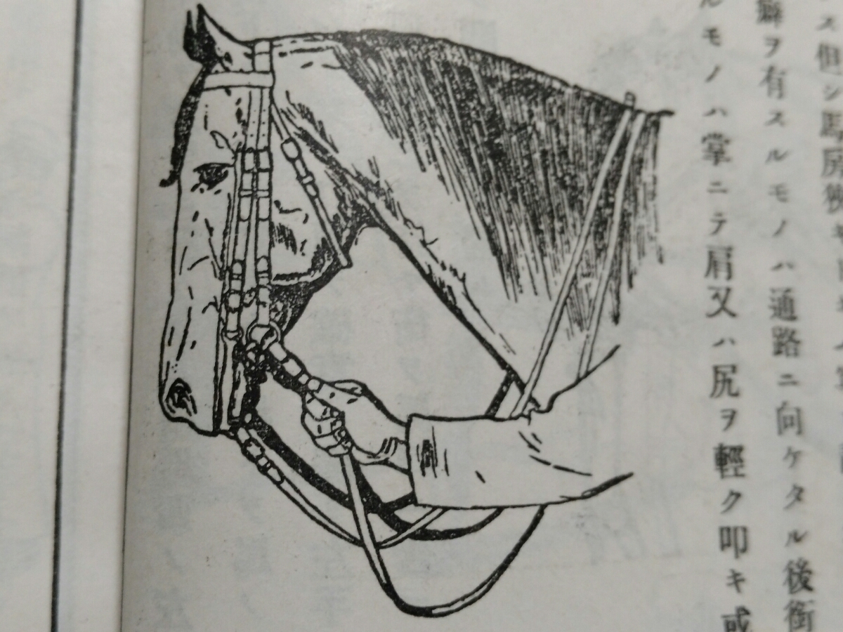 1934年 馬事提要 検索: 陸軍省 軍事 馬具 馬術 騎兵 武器 戦時 1934年 馬事提要 検索: 陸軍省 軍事 馬具 馬術 騎兵 武器 戦時