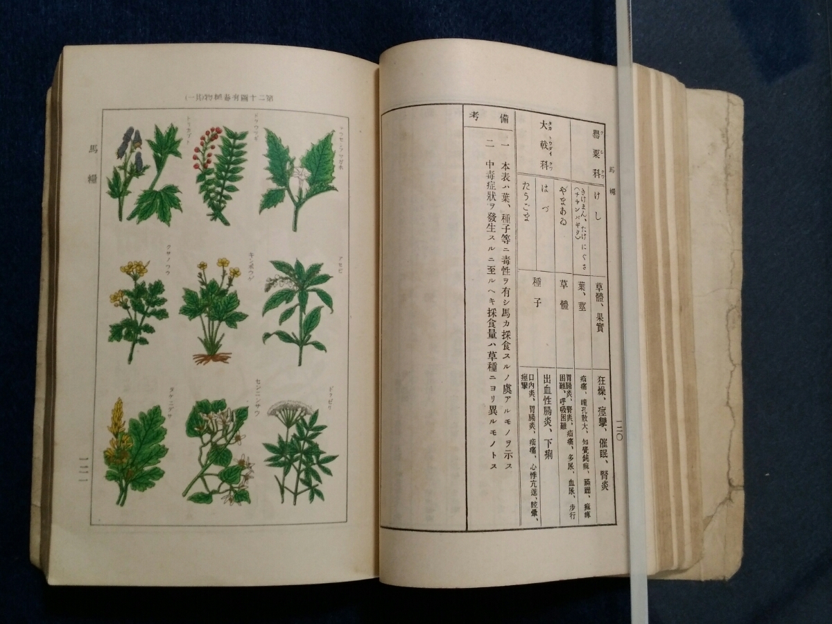 1934年 馬事提要 検索: 陸軍省 軍事 馬具 馬術 騎兵 武器 戦時 1934年 馬事提要 検索: 陸軍省 軍事 馬具 馬術 騎兵 武器 戦時