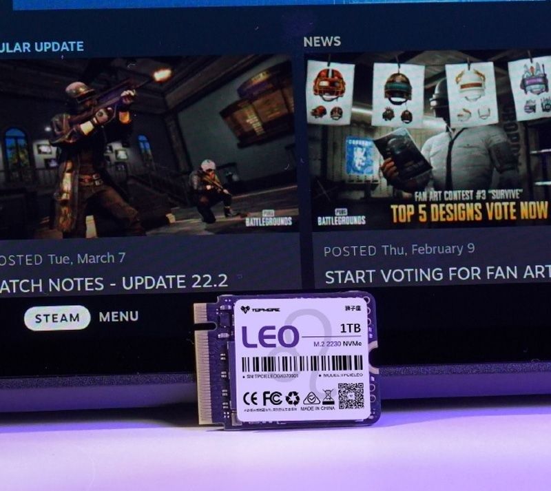 新品未開封LeoM 2 2230 NVMe QLC PCle 3 0 SSD 1TB Steam Deck 新品未開封LeoM 2 2230 NVMe QLC PCle 3 0 SSD 1TB Steam Deck