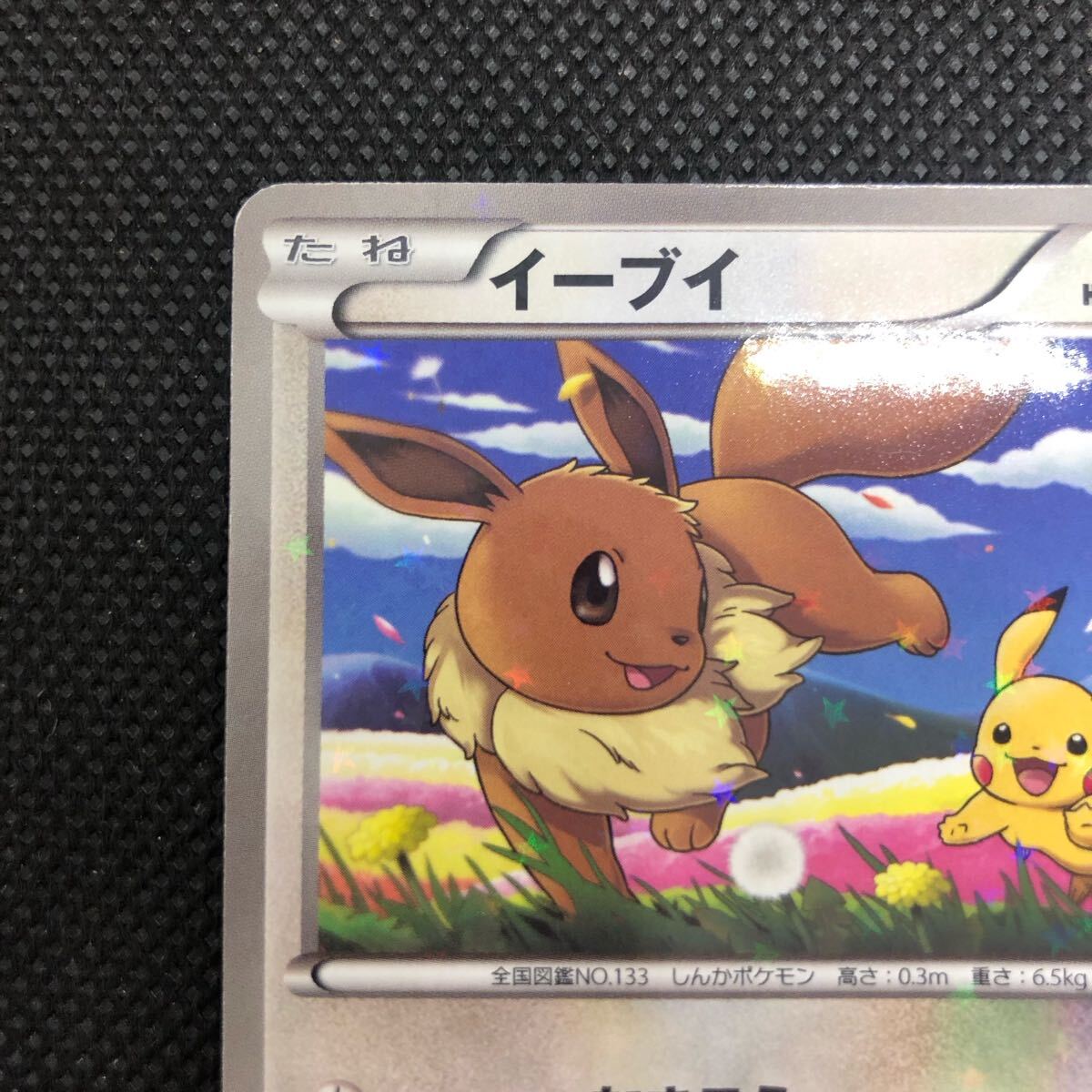 ポケモンカード イーブイ セブンイレブン プロモカード｜Yahoo