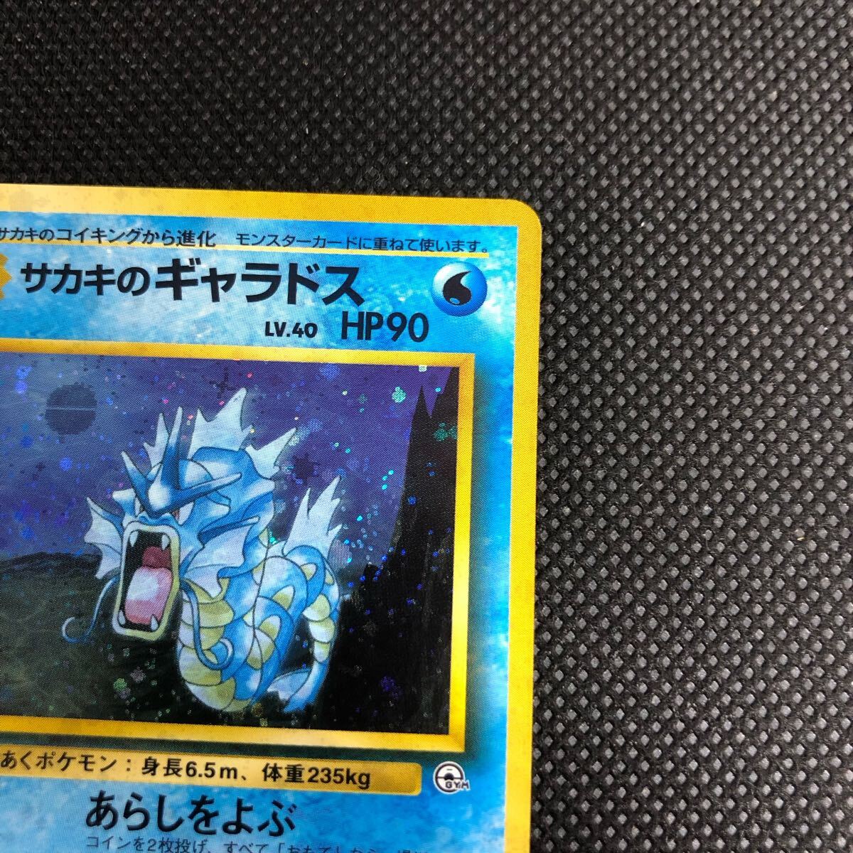 ポケモンカード 旧裏面 旧裏 サカキのギャラドス キラ ①|Yahoo ポケモンカード 旧裏面 旧裏 サカキのギャラドス キラ ①|Yahoo