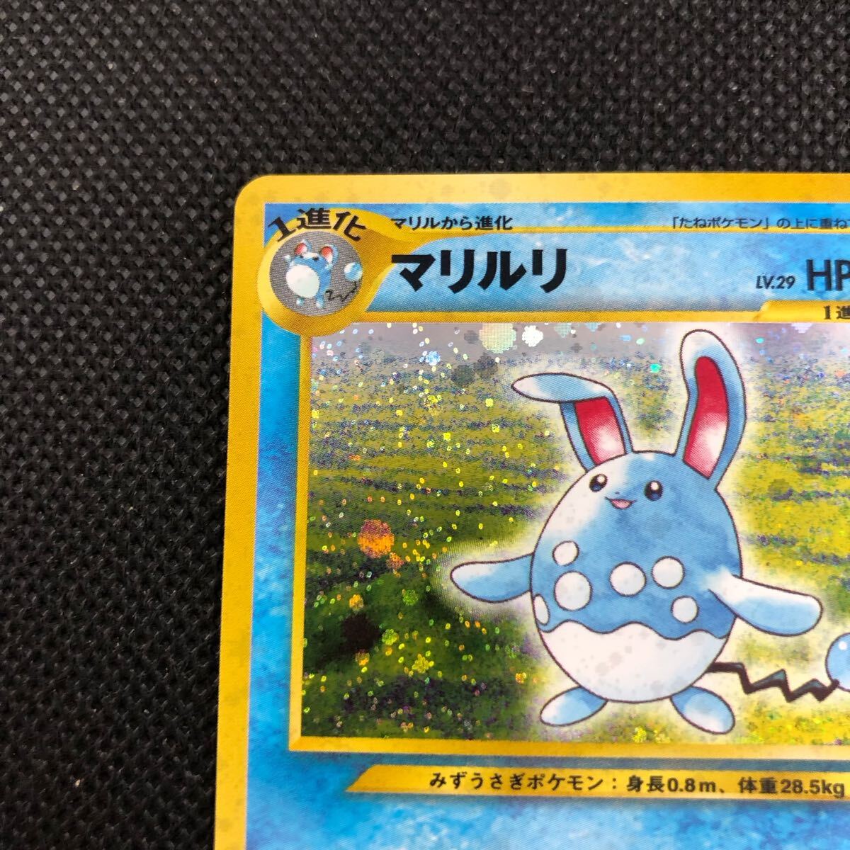ポケモンカード 旧裏面 旧裏 マリルリ キラ ① ポケカ|Yahoo ポケモンカード 旧裏面 旧裏 マリルリ キラ ① ポケカ|Yahoo