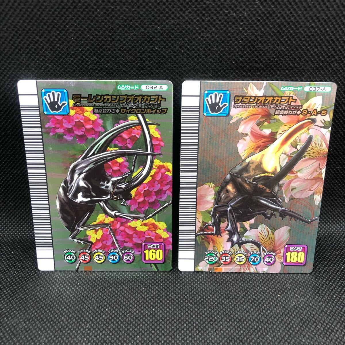 甲虫王者ムシキングカード 5周年コレクションカード 第2弾 甲虫王者ムシキングカード 5周年コレクションカード 第2弾