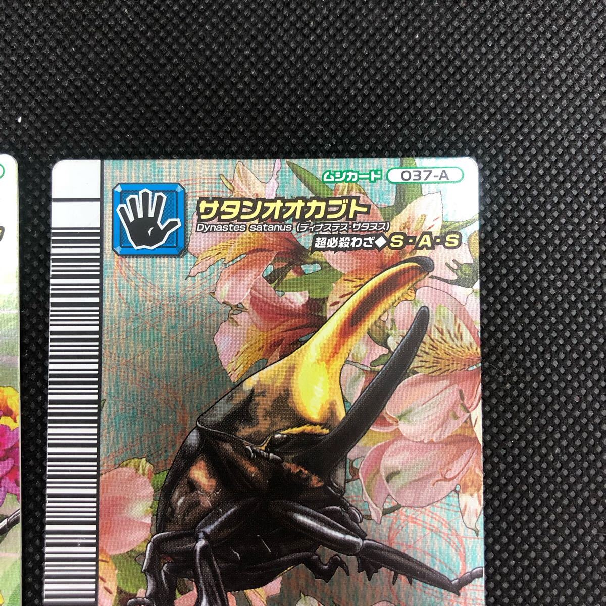 甲虫王者ムシキングカード 5周年コレクションカード 第2弾 甲虫王者ムシキングカード 5周年コレクションカード 第2弾