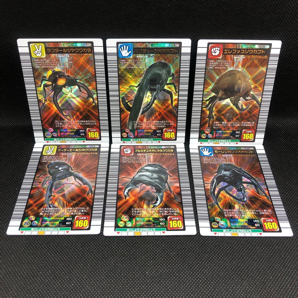 甲虫王者ムシキングカード 2005ファースト+ 銅 コンプリート 甲虫王者ムシキングカード 2005ファースト+ 銅 コンプリート