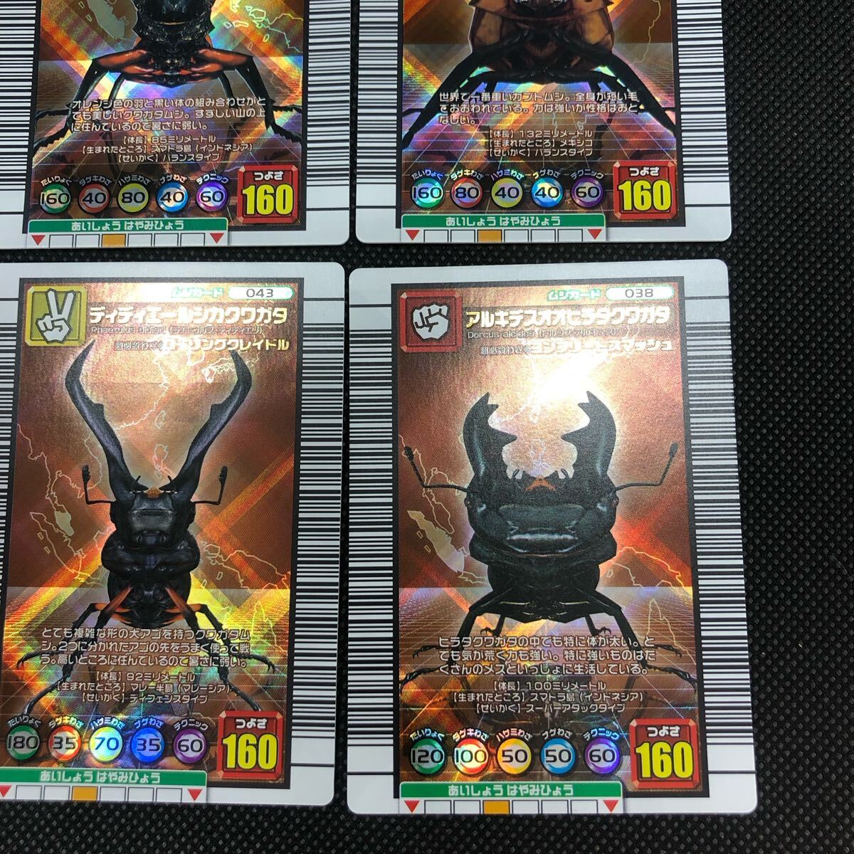 甲虫王者ムシキングカード 2005セカンド 銅 コンプリート|Yahoo 甲虫王者ムシキングカード 2005セカンド 銅 コンプリート|Yahoo
