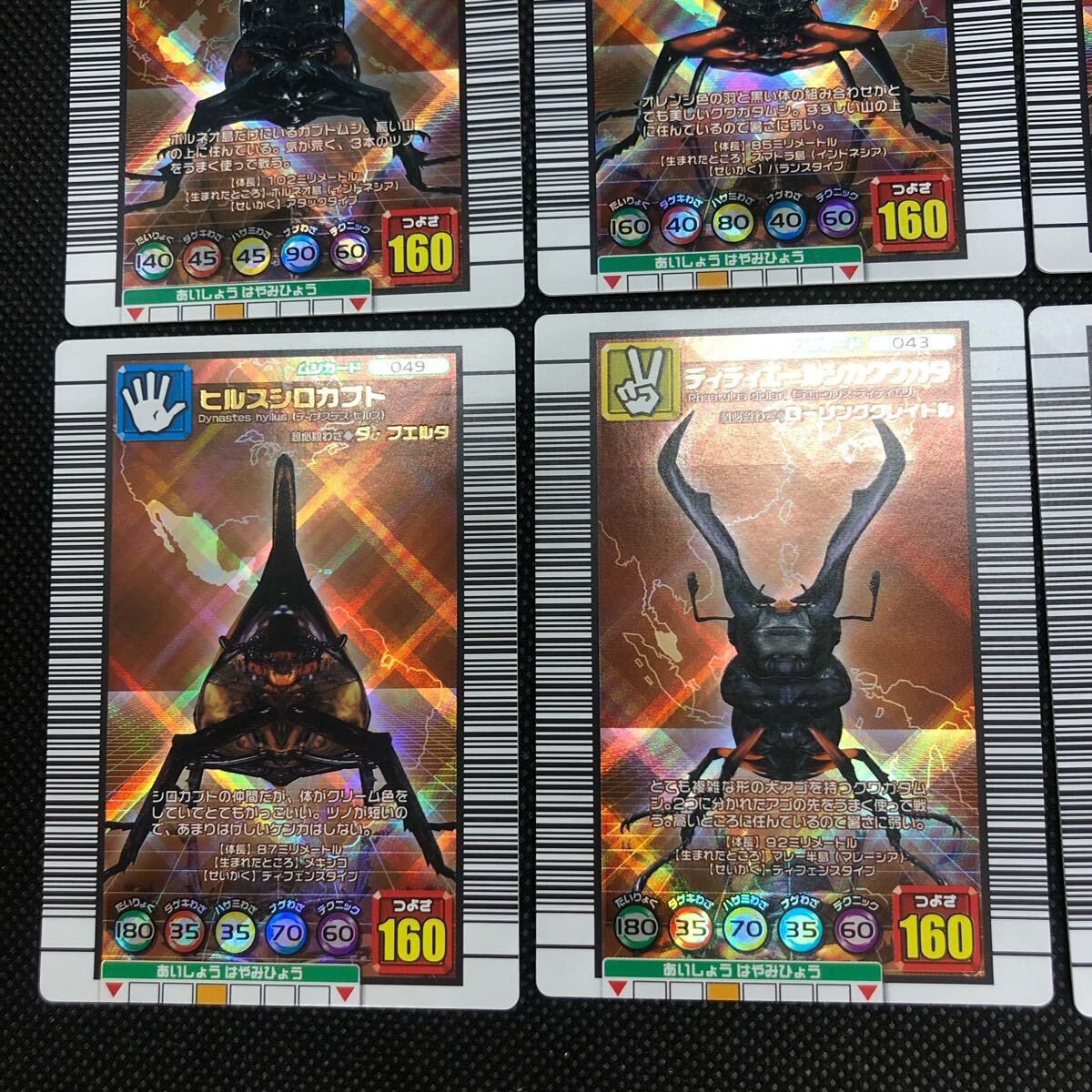 甲虫王者ムシキングカード 2005セカンド 銅 コンプリート|Yahoo 甲虫王者ムシキングカード 2005セカンド 銅 コンプリート|Yahoo