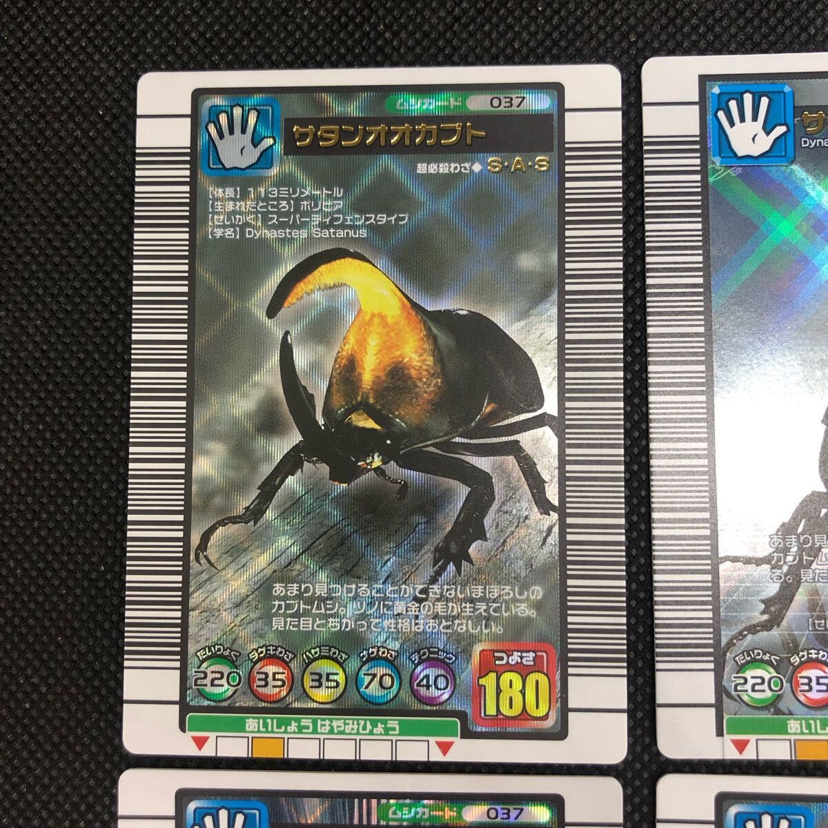 甲虫王者ムシキング ムシキングカード 2004セカンド+ 2005 甲虫王者ムシキング ムシキングカード 2004セカンド+ 2005